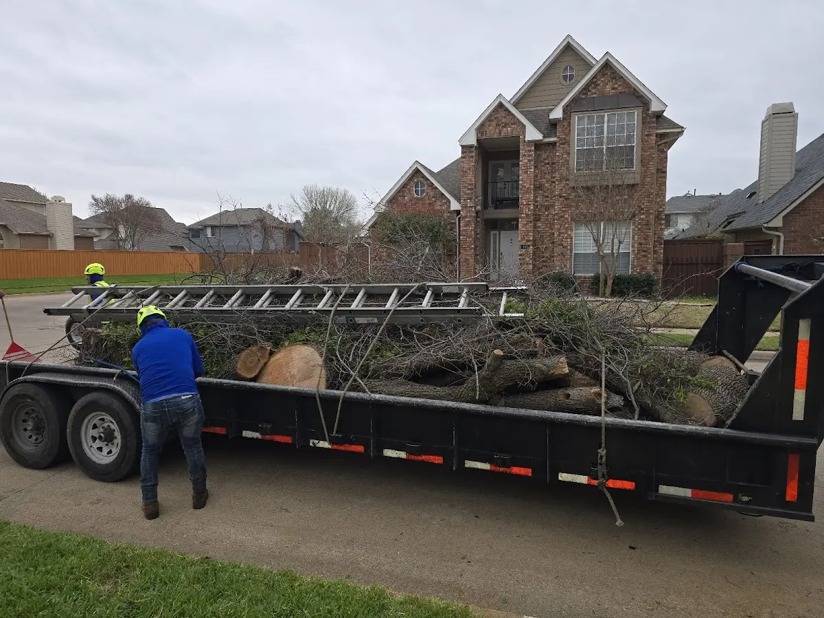 Expert Lot Clearing with proper safety equipment in Stockton Springs